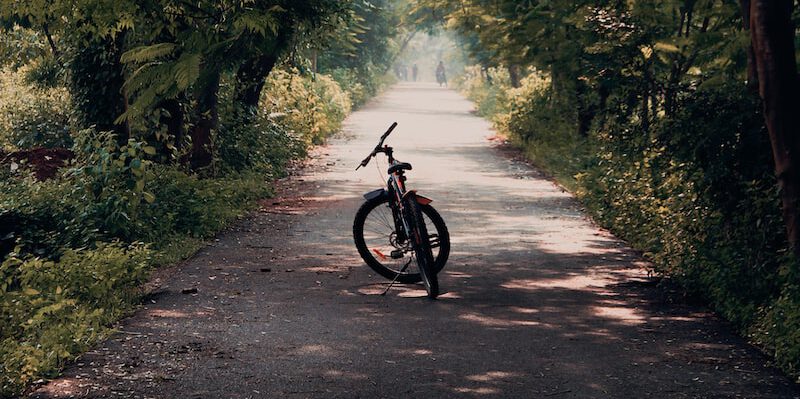 black bicycle on road between green trees during daytime